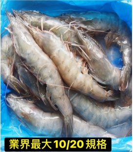 【鮮浪】巨石蝦森 大白蝦 600g/盒