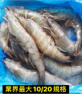 【鮮潮】-巨石蝦森大白蝦(600g/盒)
