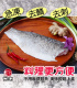 【鮮潮】特選鱸魚片(300g-400g/片)