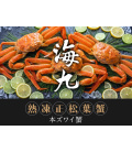 韓國熟凍整隻正松葉蟹