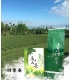 無毒栽種台灣茶